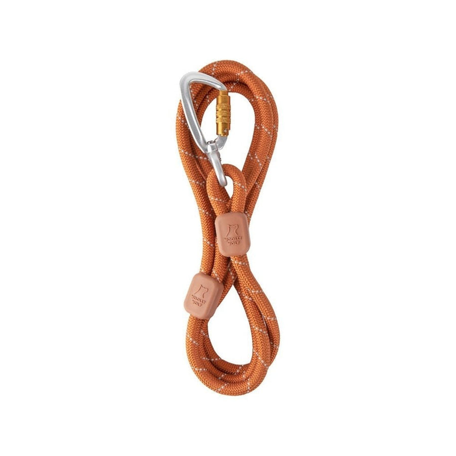 Rope Leash — productfoto op witte achtergrond, kleur terracotta