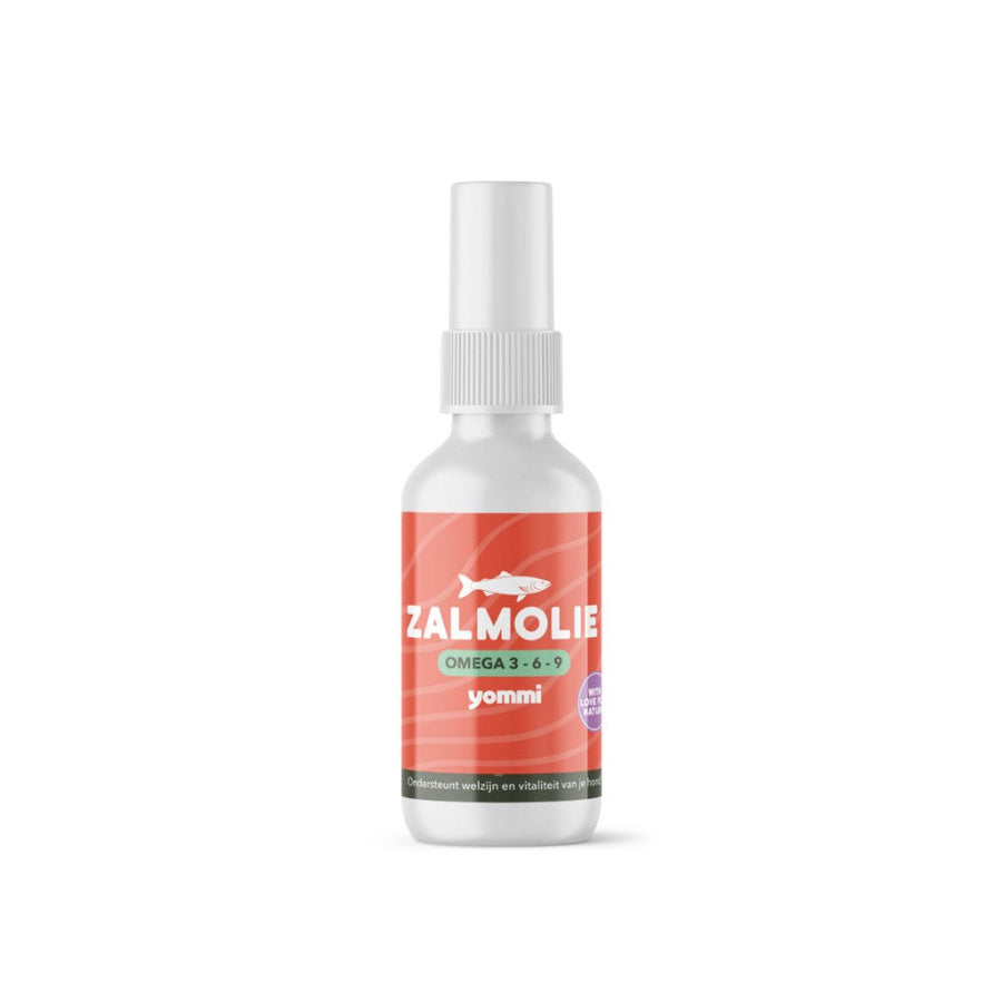 Zalmolie — productfoto op witte achtergrond