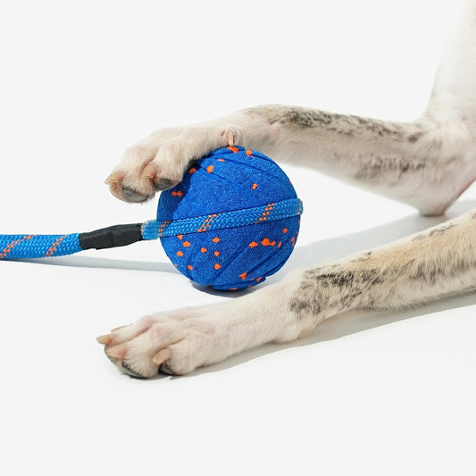 Slimme Interactieve Bal + Touw — productfoto op witte achtergrond