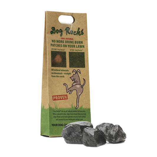 Dog Rocks — productfoto op witte achtergrond
