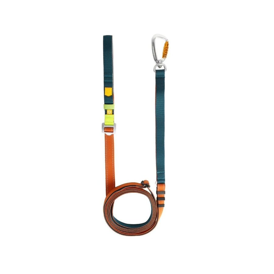 Color Block Multi-use Leash — productfoto op witte achtergrond