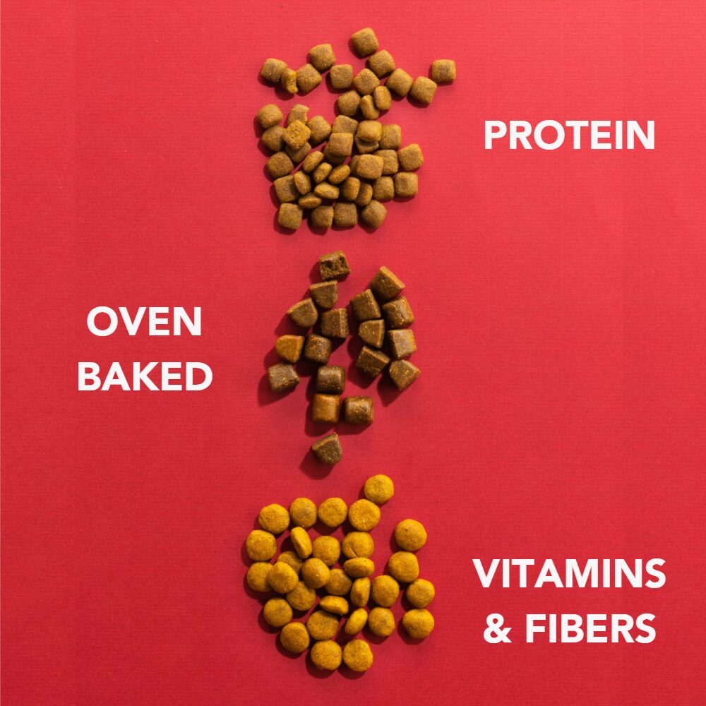 Close-up van Imby insectenbrokken op rode achtergrond: eiwit, ovengebakken, vitamines en vezels