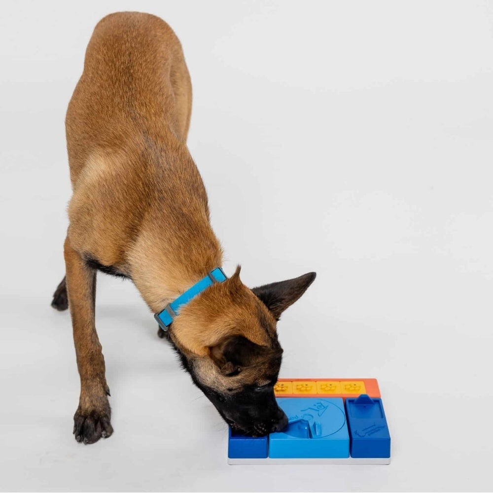 Hond zoekt met zijn neus naar snoepjes in de Pawzler Beginner Set