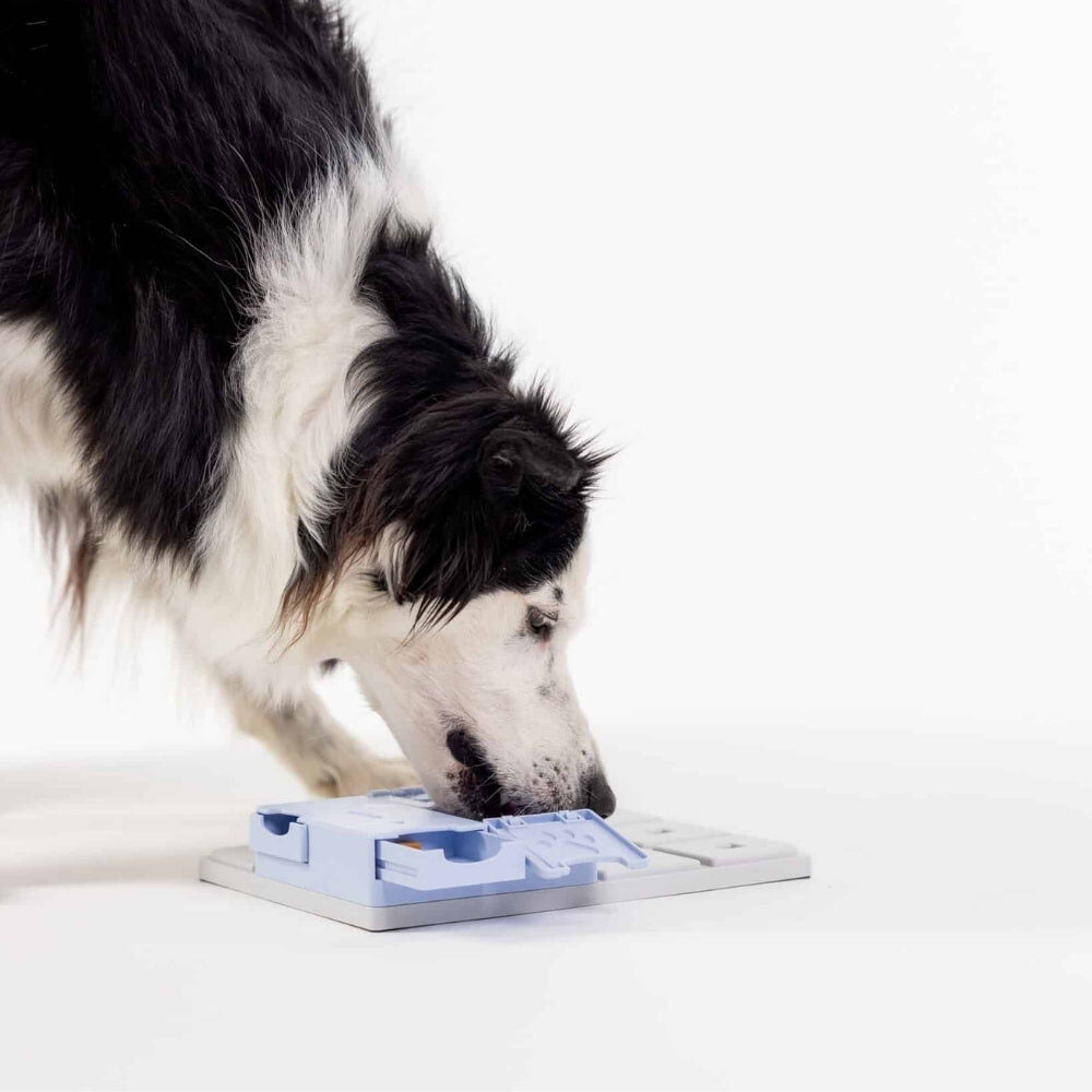 Zwart-witte hond zoekt snoepjes in het Pawzler Bunny puzzelstuk