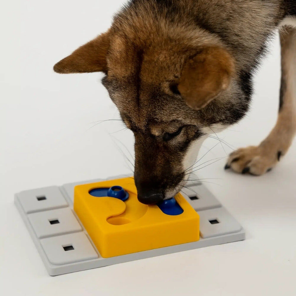 Hond schuift met zijn neus aan het Pawzler Kaya puzzelstuk op het basisbord