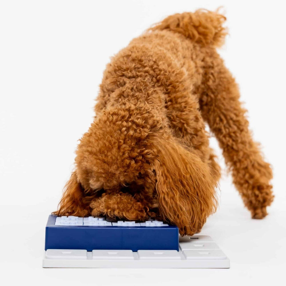 Hond met krullende vacht zoekt snoepjes in het Pawzler Louvre puzzelstuk