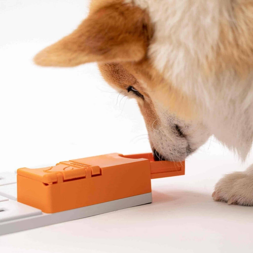 Hond schuift het Pawzler Maya puzzelstuk open met zijn neus