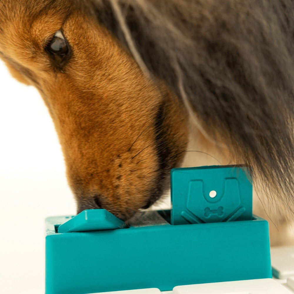 Hond snuffelt aan het Pawzler Nai puzzelstuk