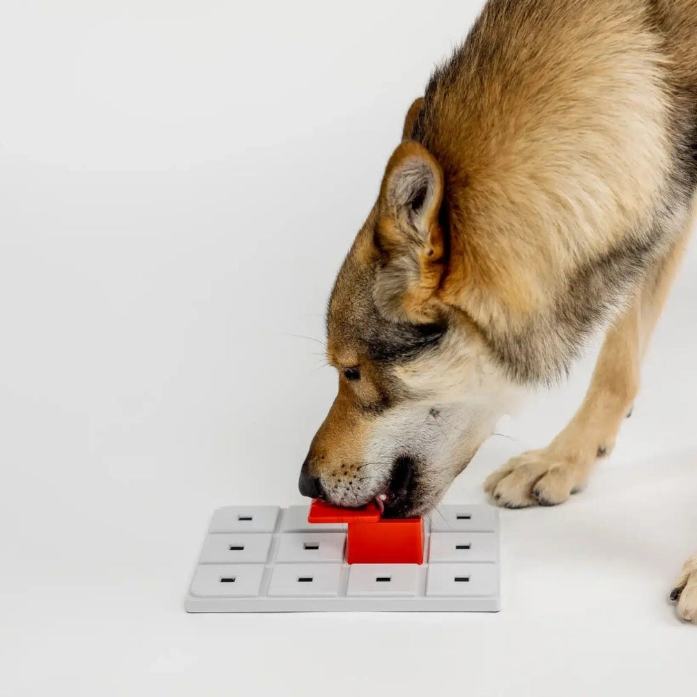 Hond opent het Pawzler Peach puzzelstuk op het basisbord