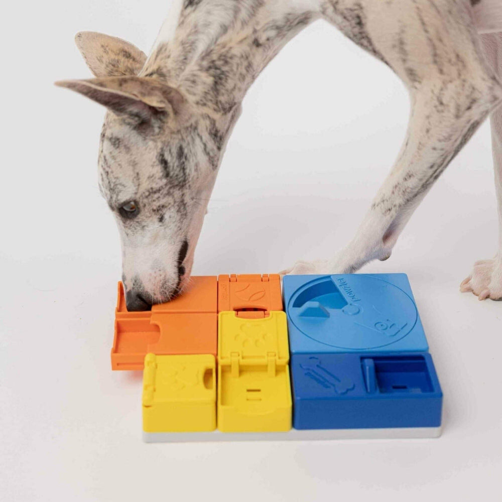 Slanke hond zoekt snoepjes in de Pawzler Rainbow Set