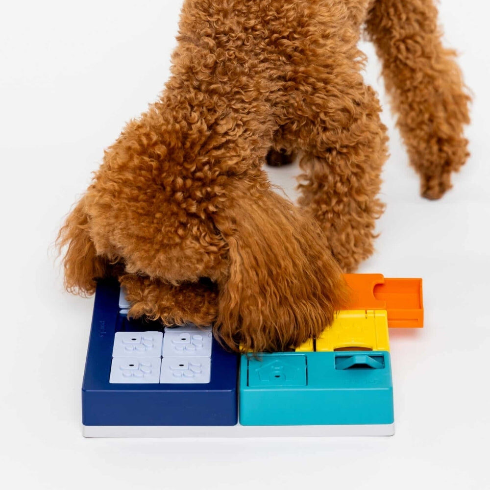 Hond met krullende vacht zoekt snoepjes in de Pawzler Smarty Set