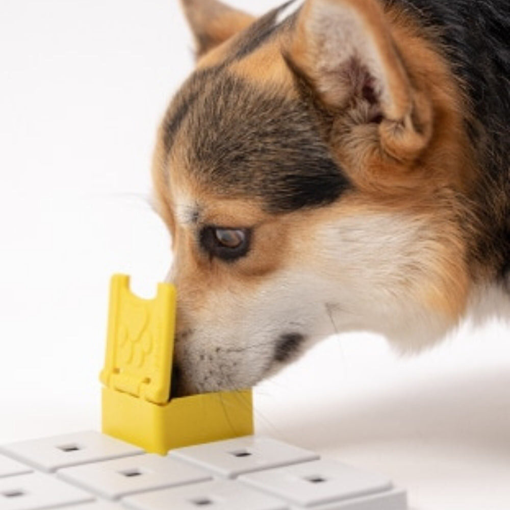 Hond klapt het Pawzler Zoey puzzelstuk open met zijn neus