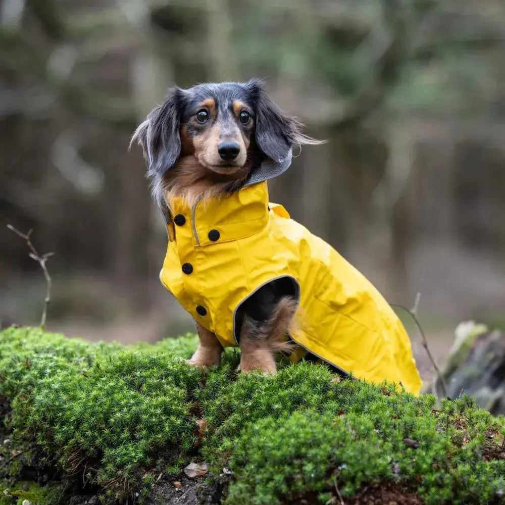 Rukka Stream Regenjas — product- en sfeerfoto 2