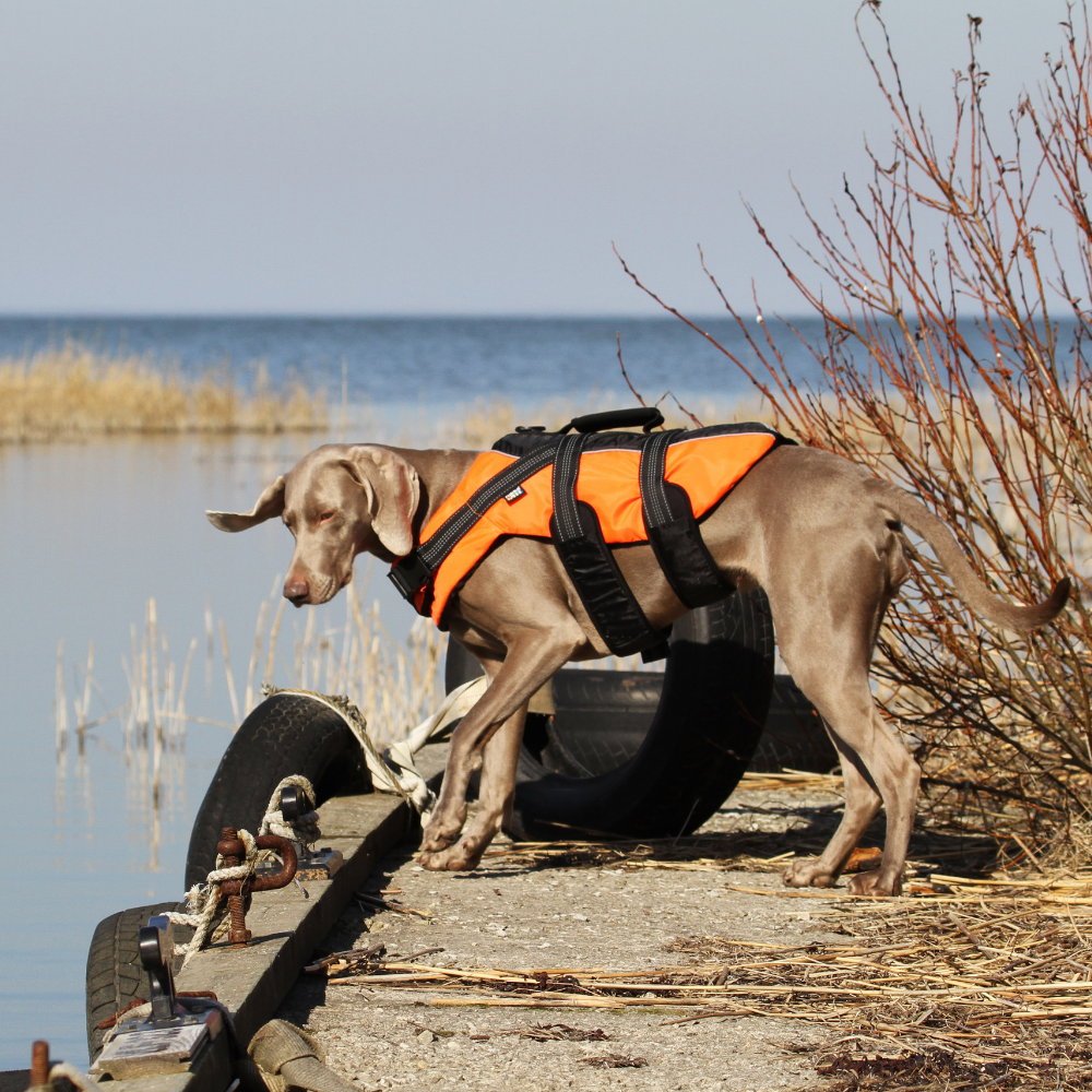Rukka Safety Life Vest — product- en sfeerfoto 2