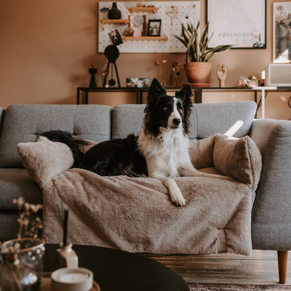 District 70 NUZZLE Bankbed — product- en sfeerfoto 2