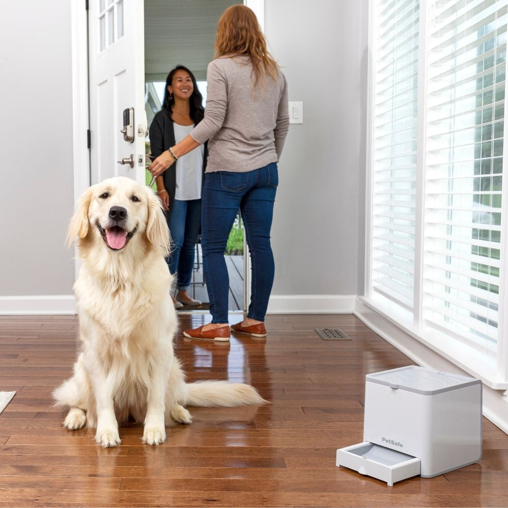 PetSafe Teach & Treat Afstandstrainer — product- en sfeerfoto 2
