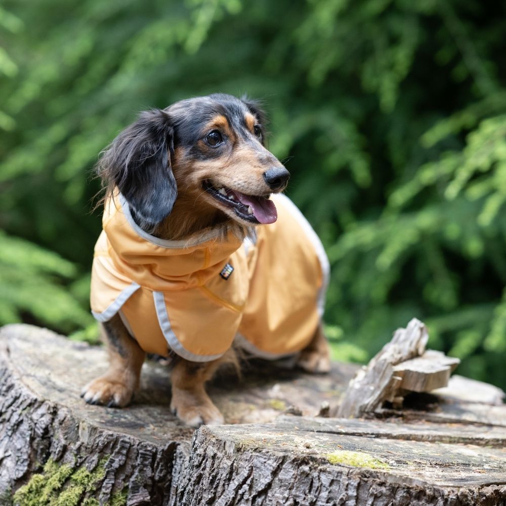 Rukka Crisp Cooling Jacket — product- en sfeerfoto 2