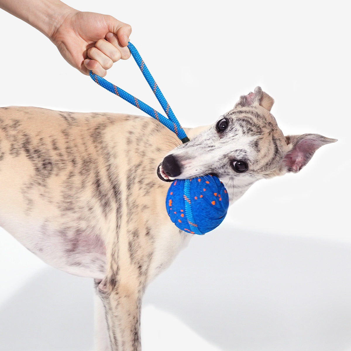 Slimme Interactieve Bal + Touw — product- en sfeerfoto 2