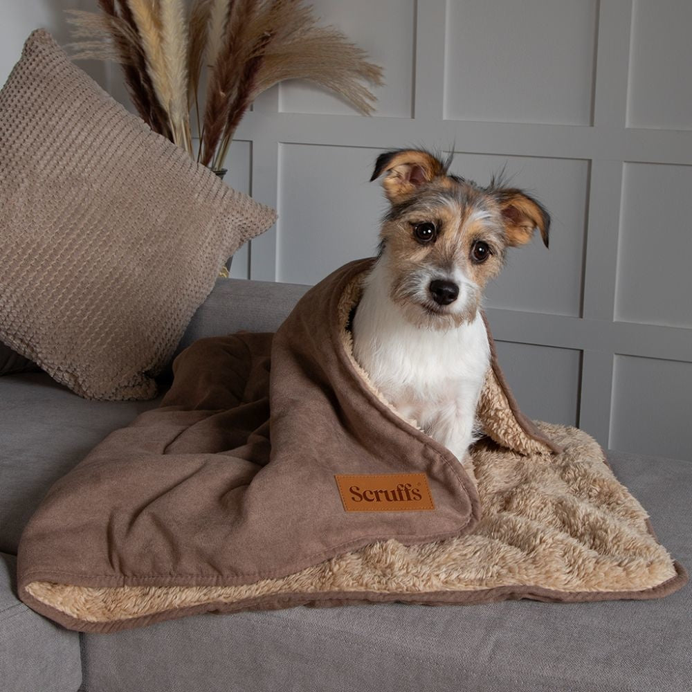 Scruffs Cosy Deken — product- en sfeerfoto 2