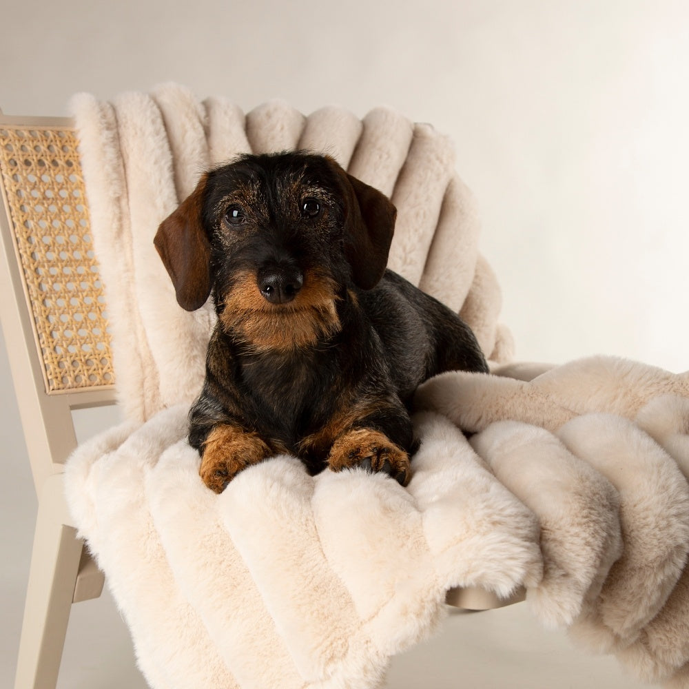 Scruffs Aspen Deken — product- en sfeerfoto 2