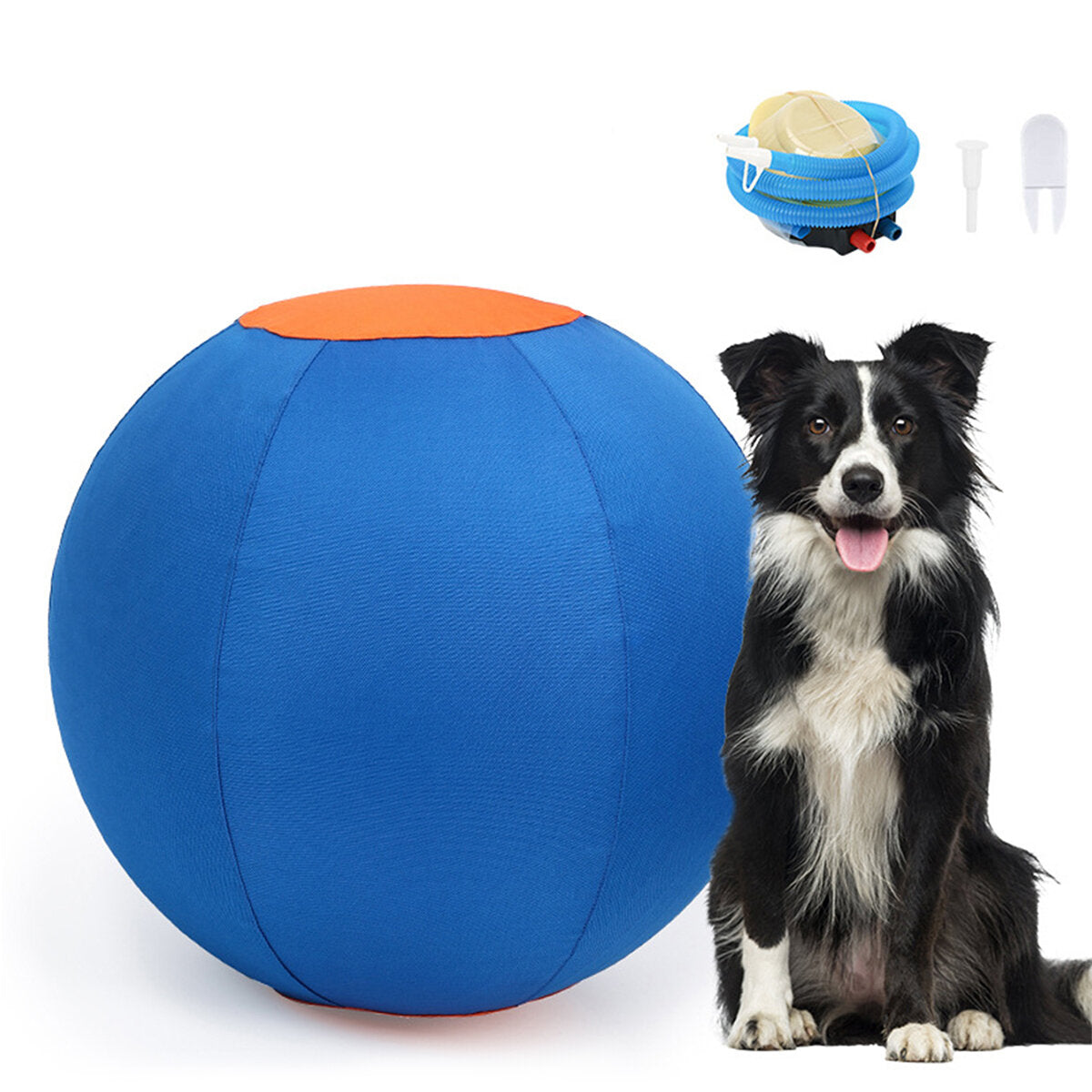 Herdersbal (Treibball) — product- en sfeerfoto 2