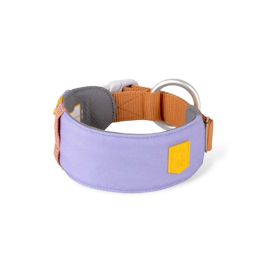 Alpha 360 Collar — product- en sfeerfoto 3, kleur lavendel-mix
