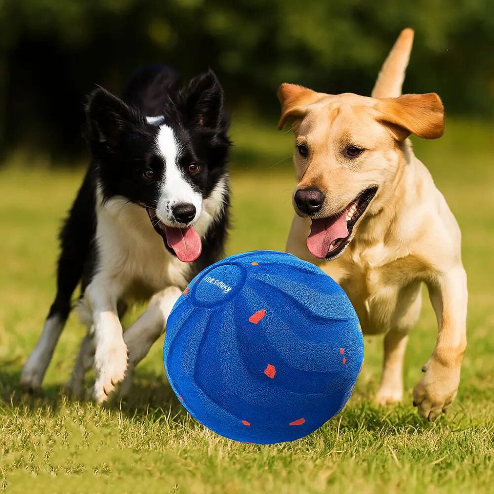 Zelfbewegende Bal (automatisch) — product- en sfeerfoto 3
