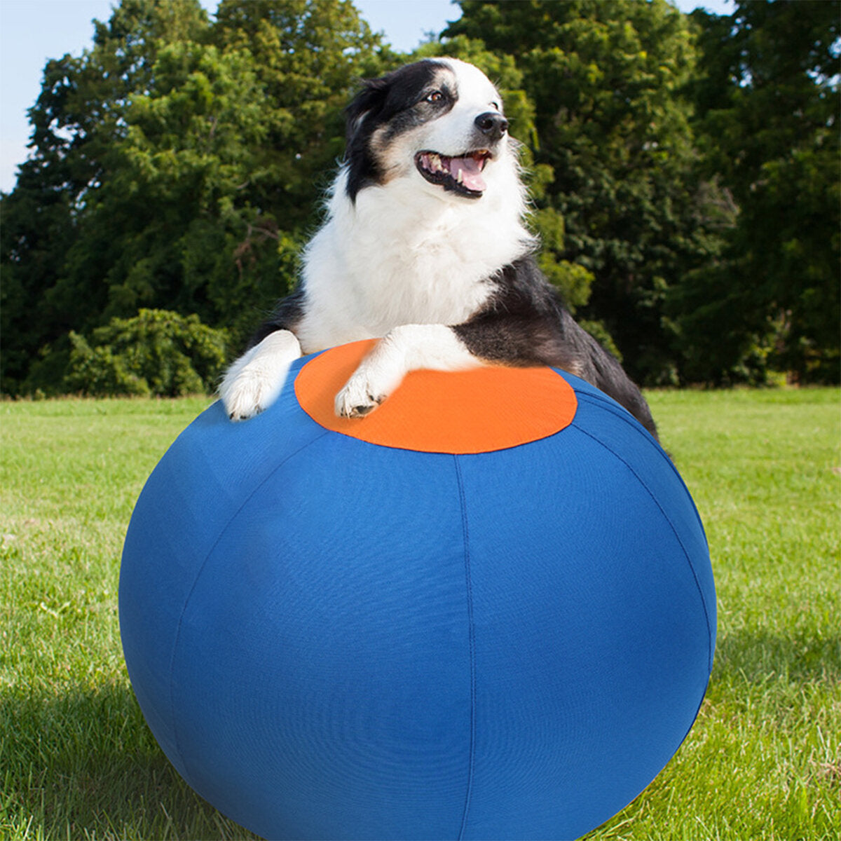 Herdersbal (Treibball) — product- en sfeerfoto 3