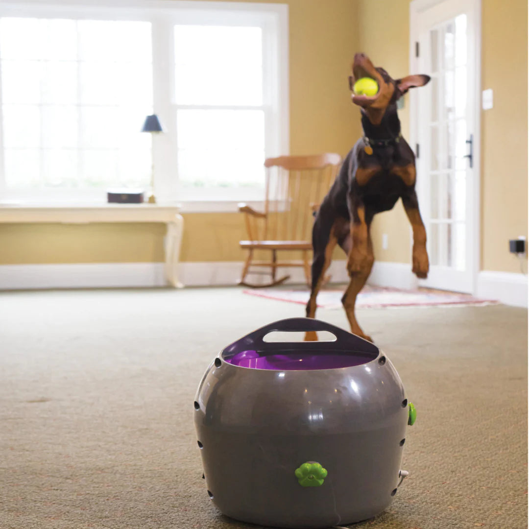 PetSafe Automatische Balwerper — product- en sfeerfoto 3