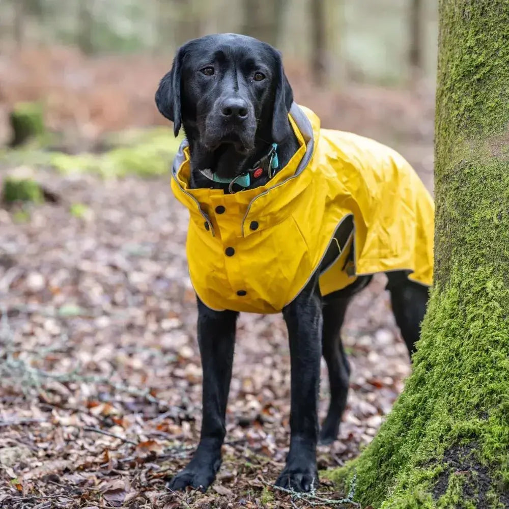Rukka Stream Regenjas — product- en sfeerfoto 3