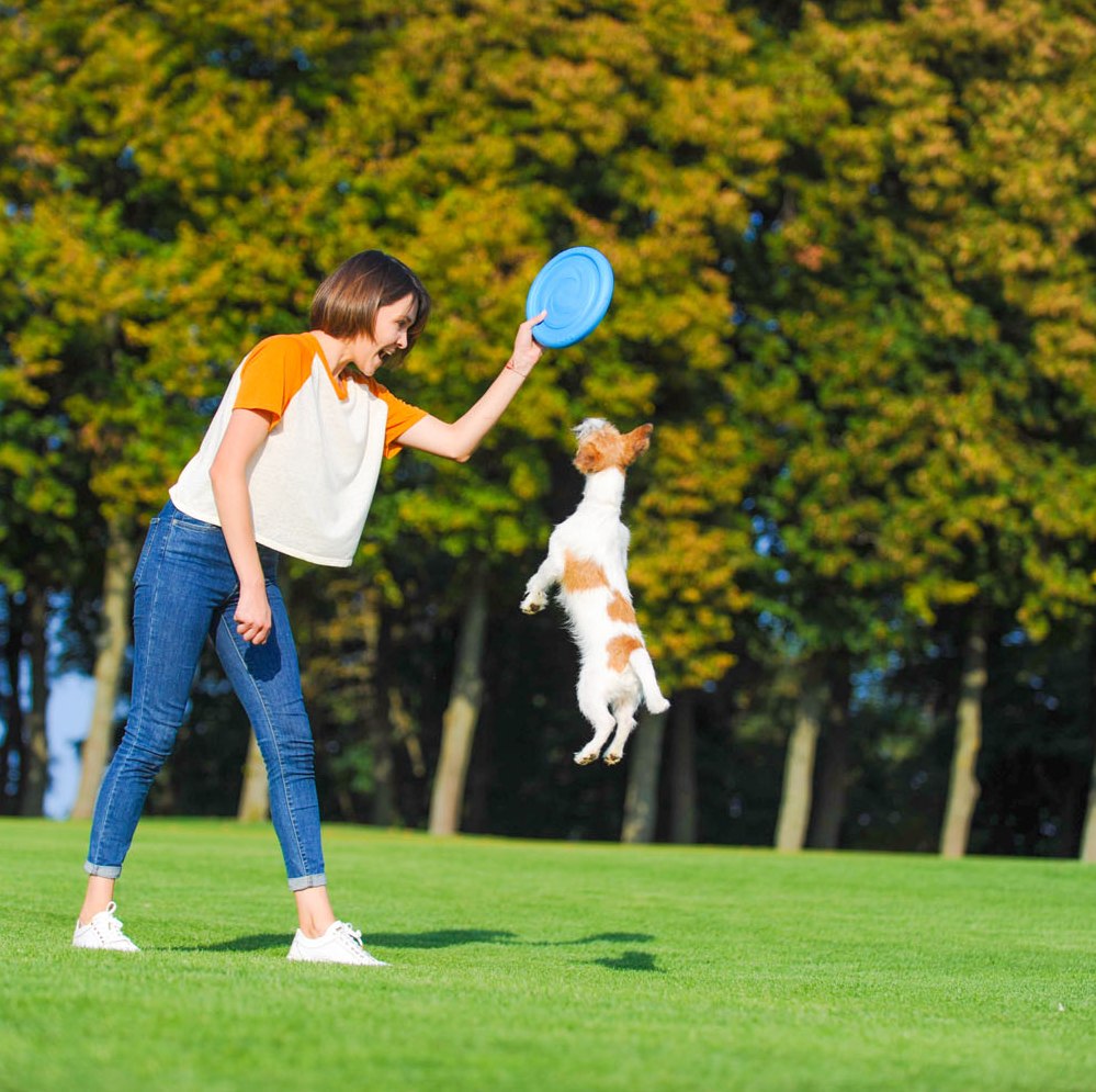 PitchDog Frisbee — product- en sfeerfoto 3
