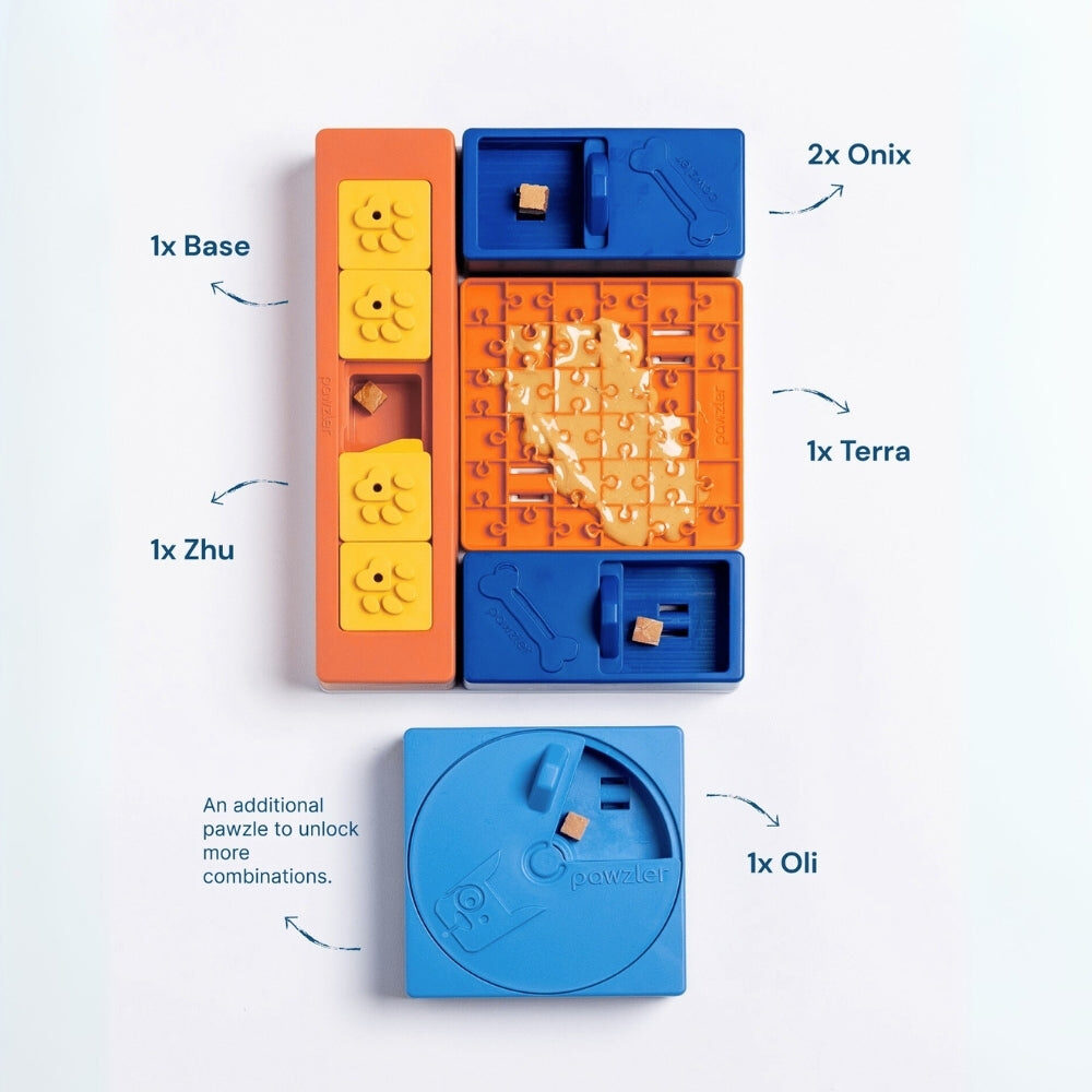 Inhoud Pawzler Beginner Set: basisbord met Zhu, Terra, twee Onix en een extra Oli puzzelstuk