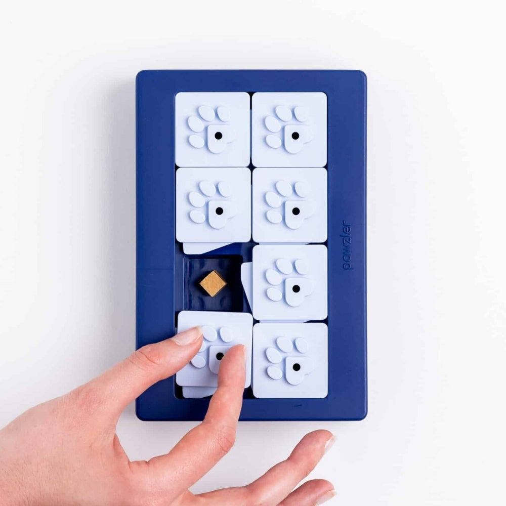 Dekseltje van het Pawzler Louvre puzzelstuk verschuiven met de hand