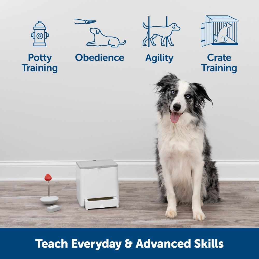 PetSafe Teach & Treat Afstandstrainer — product- en sfeerfoto 4