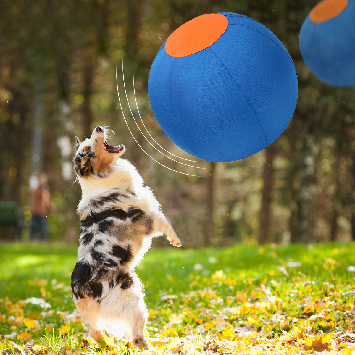 Herdersbal (Treibball) — product- en sfeerfoto 4