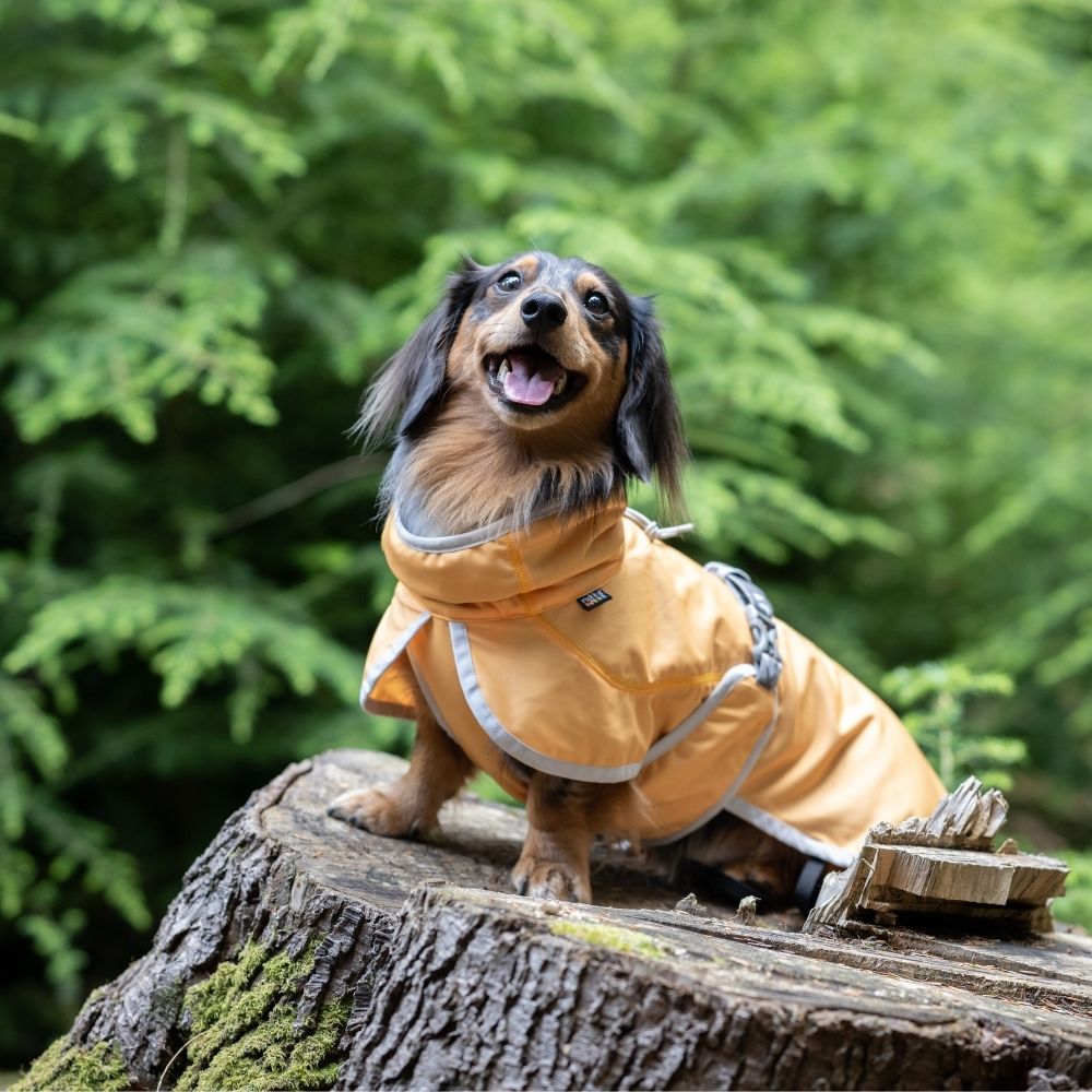 Rukka Crisp Cooling Jacket — product- en sfeerfoto 4