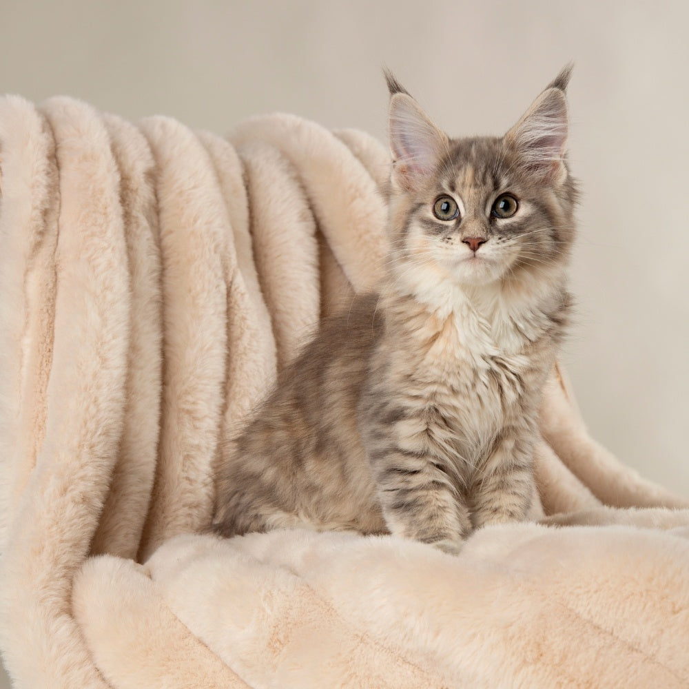 Scruffs Aspen Deken — product- en sfeerfoto 5