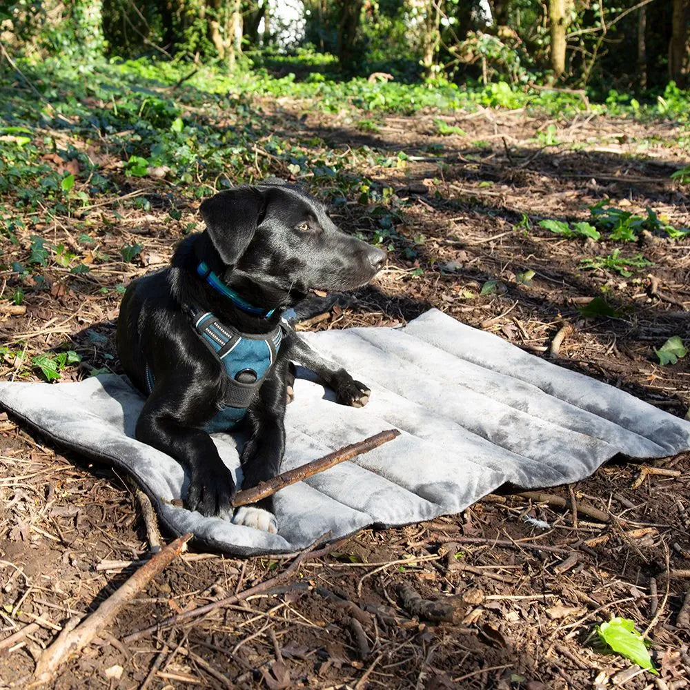 Scruffs Expedition Roll Up Reisbed — product- en sfeerfoto 5