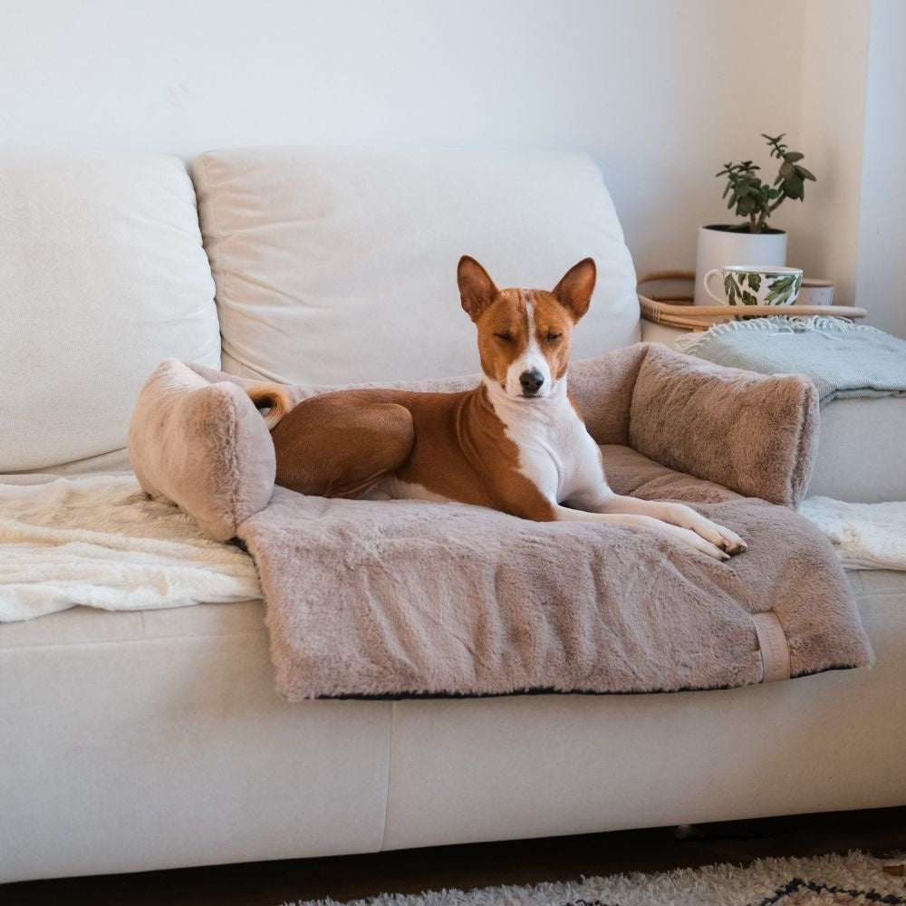 District 70 NUZZLE Bankbed — product- en sfeerfoto 3
