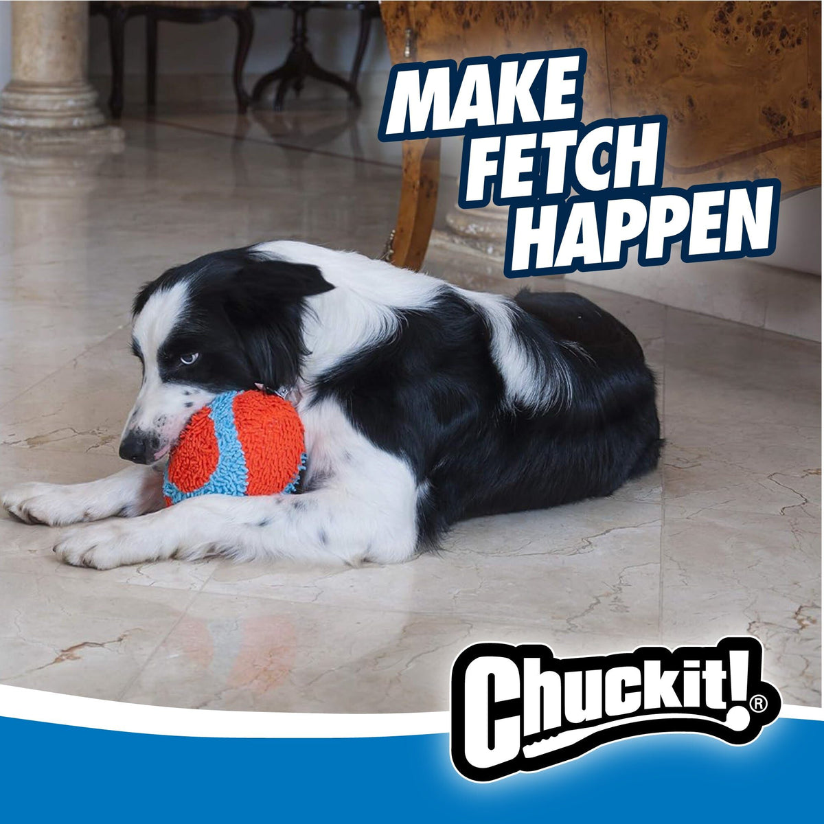 Border collie ligt op de vloer met de Chuckit! Indoor Bal