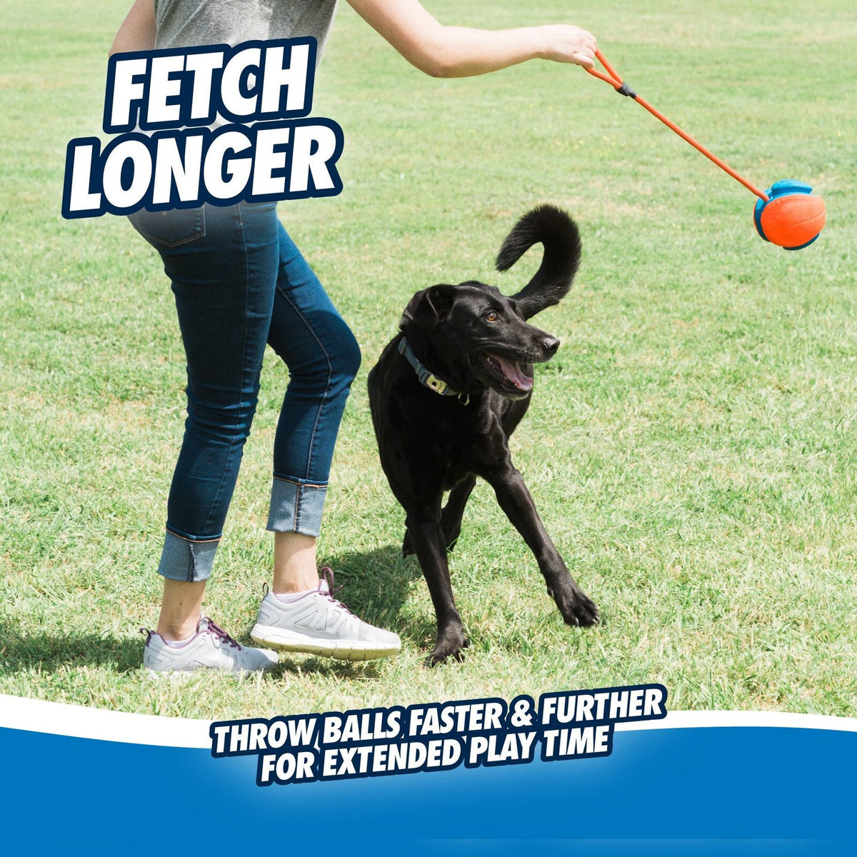Baasje zwaait de Chuckit! Rope Fetch aan het touw, zwarte hond wacht op de worp