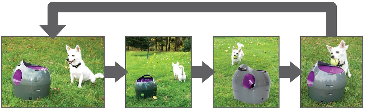 PetSafe Automatische Balwerper — product- en sfeerfoto 6