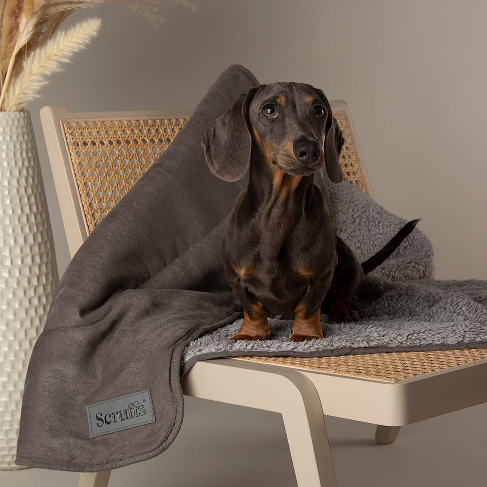 Scruffs Cosy Deken — product- en sfeerfoto 6