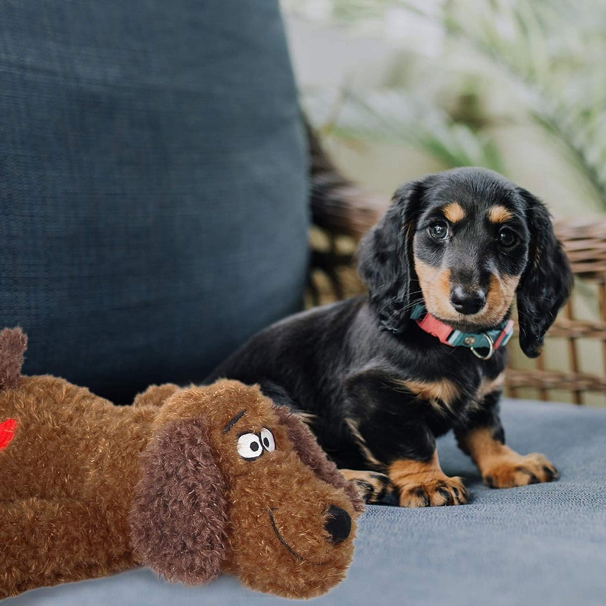 Teckelpup zit op de bank naast de AFP Calm Paws knuffel