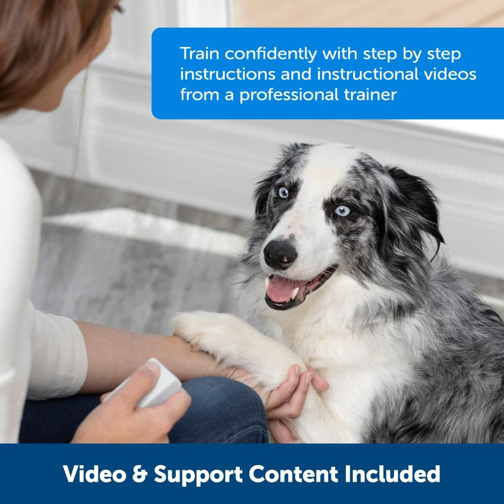 PetSafe Teach & Treat Afstandstrainer — product- en sfeerfoto 8