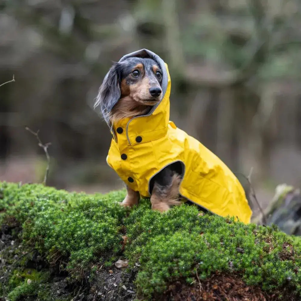 Rukka Stream Regenjas — product- en sfeerfoto 7
