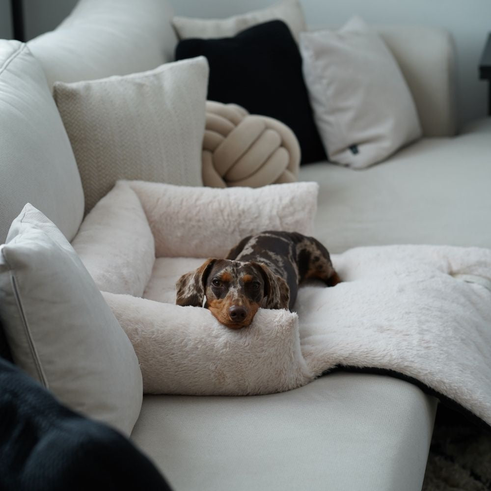 District 70 NUZZLE Bankbed — product- en sfeerfoto 7