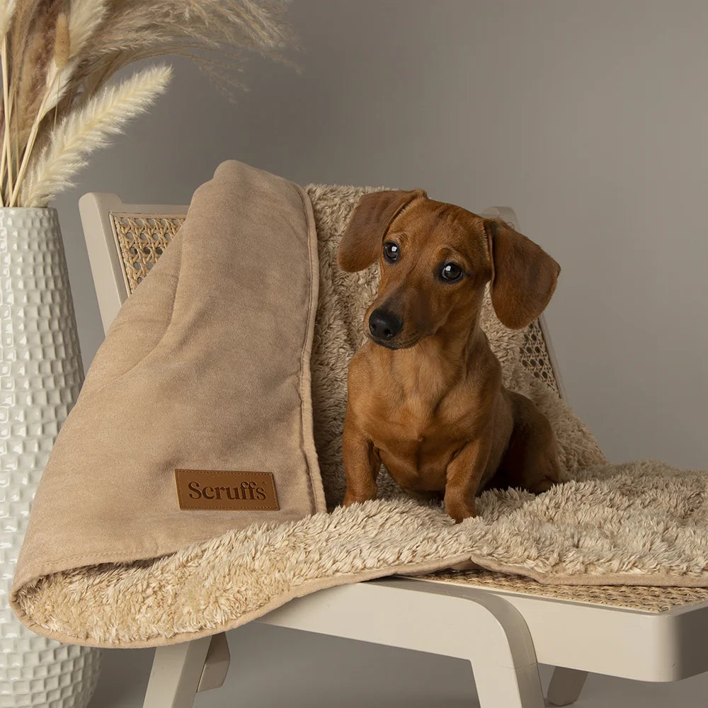 Scruffs Cosy Deken — product- en sfeerfoto 9