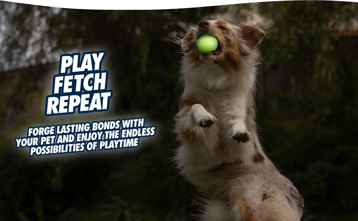 Hond springt op met een lichtgevende Chuckit! Max Glow bal in de bek