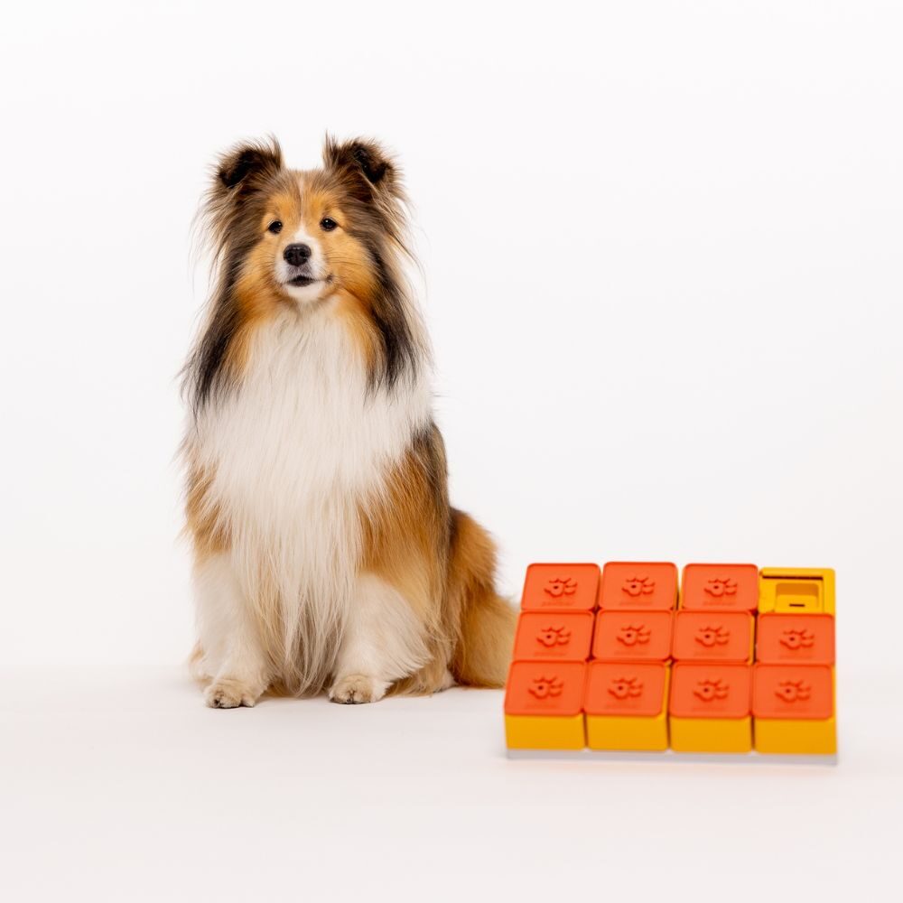 Hond zit naast de opgebouwde Pawzler Treat Maze Set